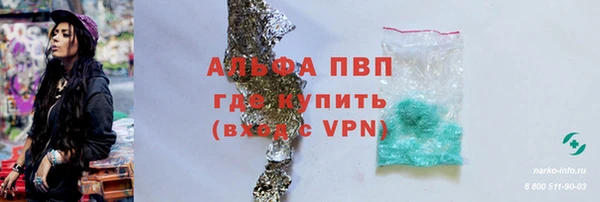 сатива Армянск