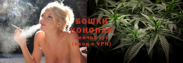 сатива Армянск