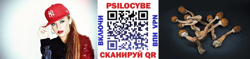 магазин продажи   Ивдель  Галлюциногенные грибы Magic Shrooms 